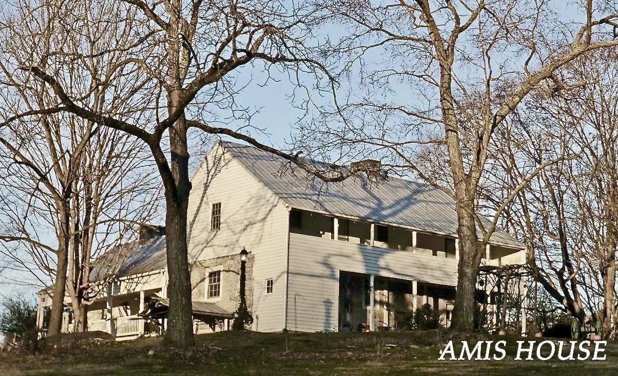 Amis House